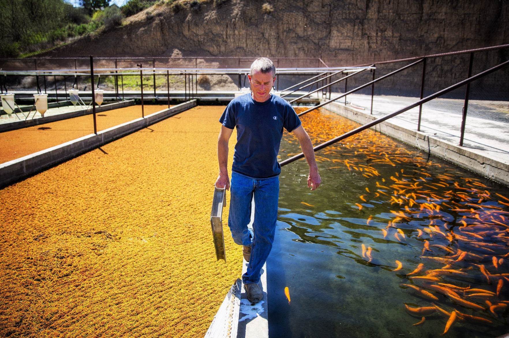 Aquaculture water
